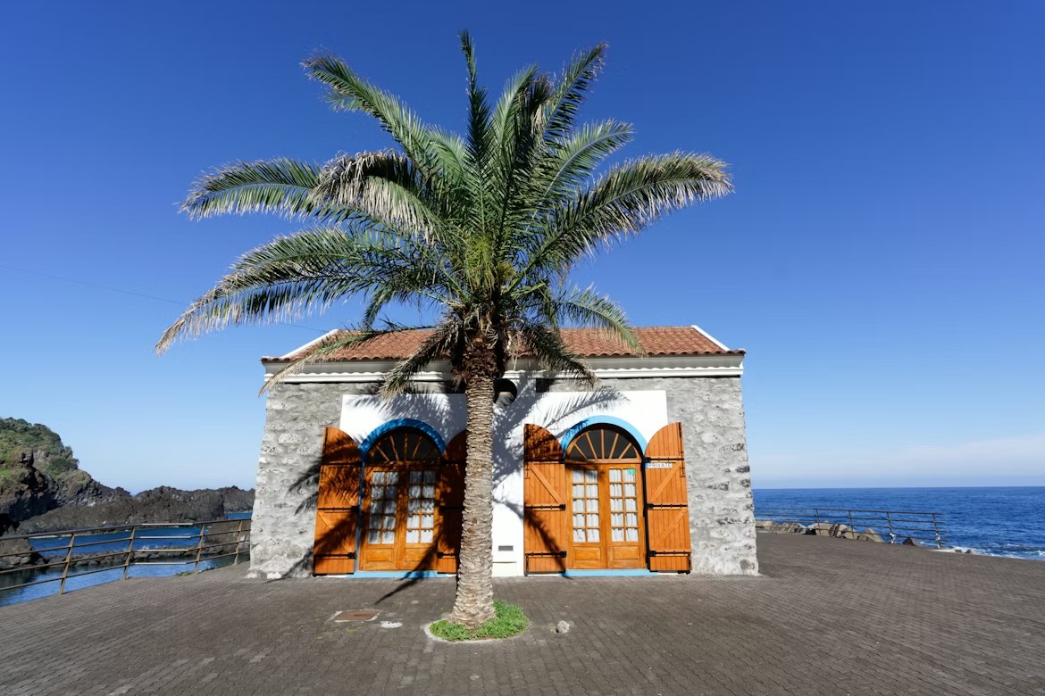 Traditional Madeiran cottage with palm tree and Atlantic ocean view